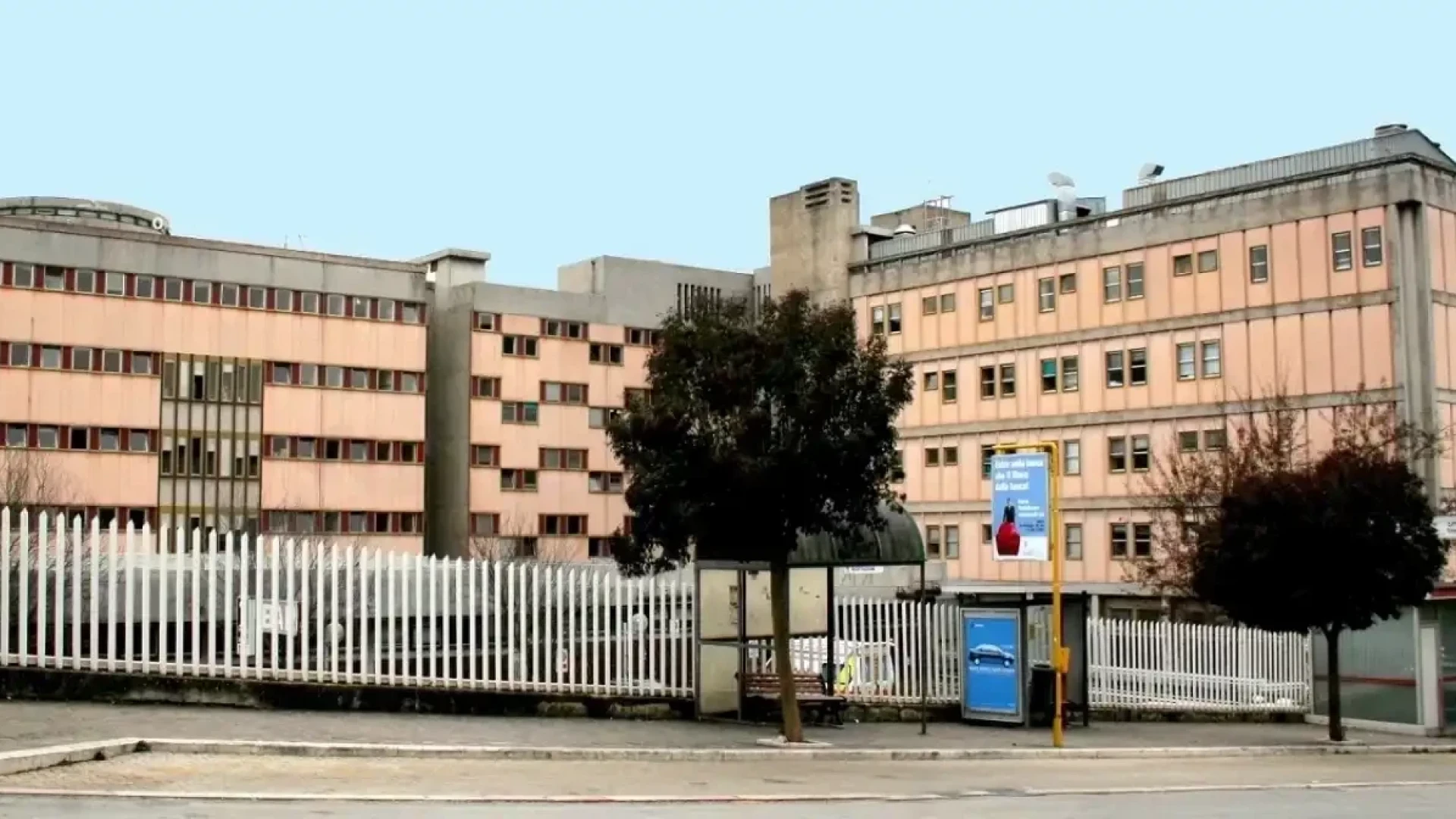 Strumentazione, personale e analisi dei dati: tre nodi da affrontare per il futuro di Emodinamica di Isernia. Il Sindaco Castrataro scrive ai vertici Asrem.